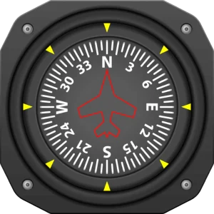 Magnet Instruments: Direction